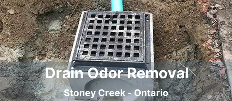  Drain Odor Removal Stoney Creek - Ontario